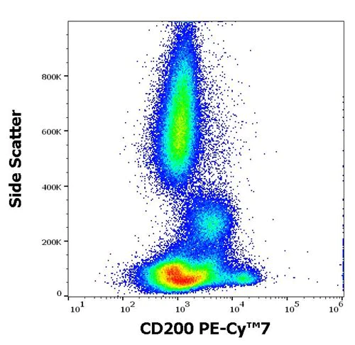 Flow Cytometry - PE/Cy7® Anti-CD200 / OX2 antibody [OX-104] (AB272336)