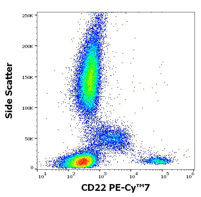 Flow Cytometry - PE/Cy7® Anti-CD22 antibody [IS7] (AB233583)