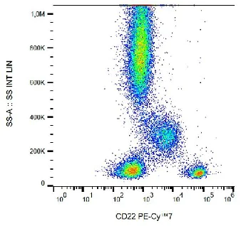 Flow Cytometry - PE/Cy7® Anti-CD22 antibody [IS7] (AB233583)