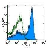 Flow Cytometry - PE/Cy7® Anti-CD27 antibody [O323] (AB134498)