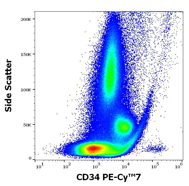 Flow Cytometry - PE/Cy7® Anti-CD34 antibody 4H11[APG] (AB233636)