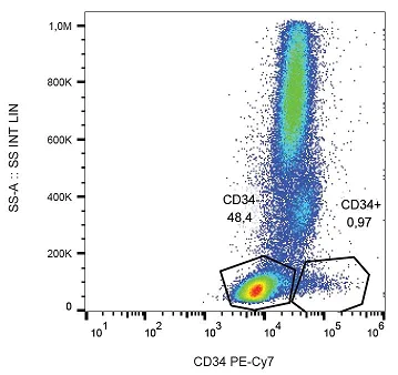 Flow Cytometry - PE/Cy7® Anti-CD34 antibody 4H11[APG] (AB233636)