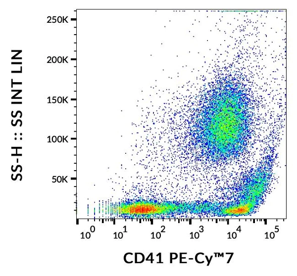 Flow Cytometry - PE/Cy7® Anti-CD41 antibody [MEM-06] (AB239313)