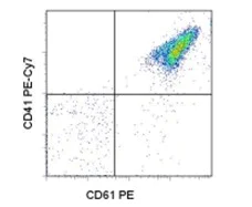 Flow Cytometry - PE/Cy7® Anti-CD41 antibody [MWReg30] (AB95726)