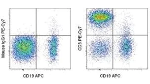 Flow Cytometry - PE/Cy7® Anti-CD5 antibody [UCHT2] (AB155375)