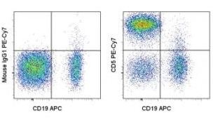 Flow Cytometry - PE/Cy7® Anti-CD5 antibody [UCHT2], prediluted (AB155375), expandable thumbnail