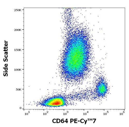 Flow Cytometry - PE/Cy7® Anti-CD64 antibody [10.1] (AB201318), expandable thumbnail