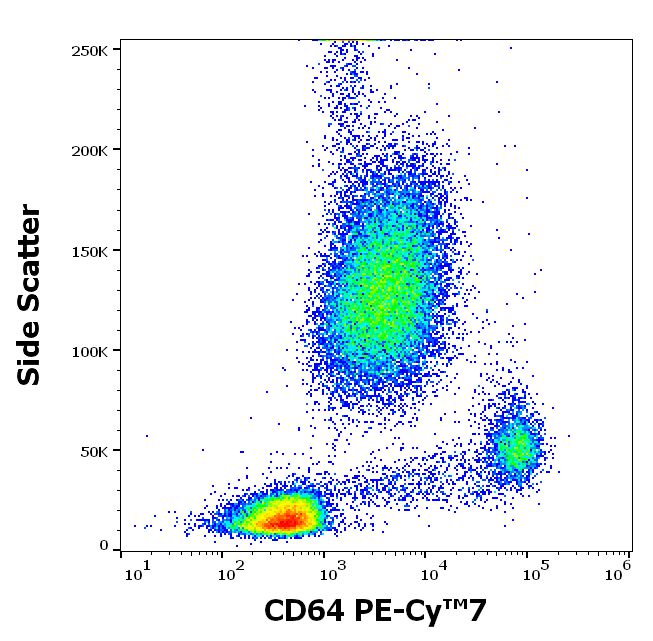 Flow Cytometry - PE/Cy7® Anti-CD64 antibody [10.1] (AB201318)