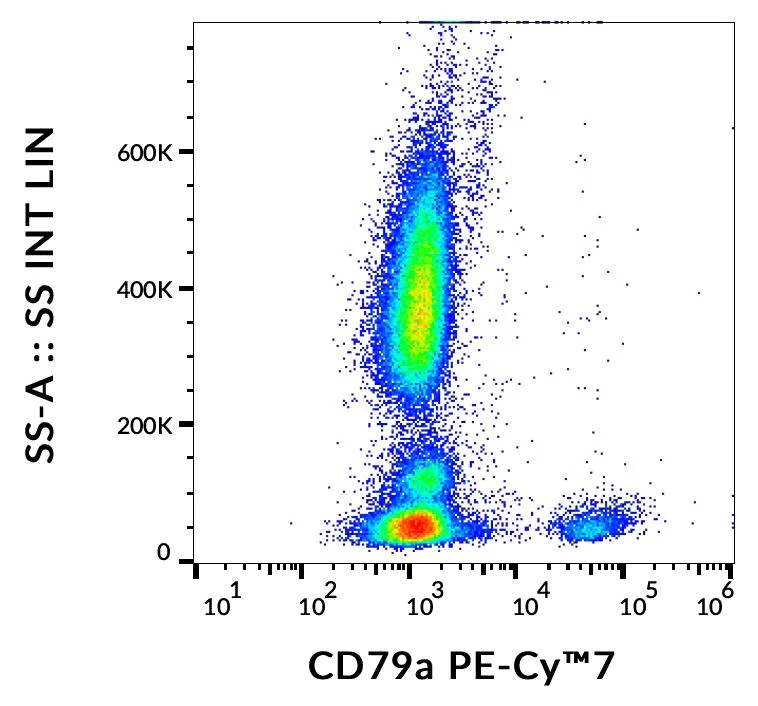 Flow Cytometry (Intracellular) - PE/Cy7® Anti-CD79a antibody [HM47] (AB253255)