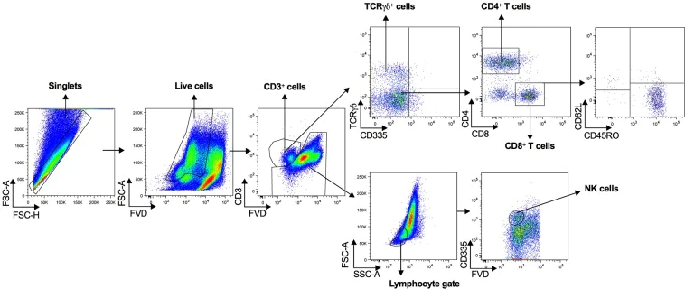 Conjugation - PE/Cy7® Conjugation Kit - Lightning-Link® (AB102903)