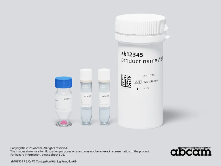 Other - PE/Cy7® Conjugation Kit - Lightning-Link® (AB102903)