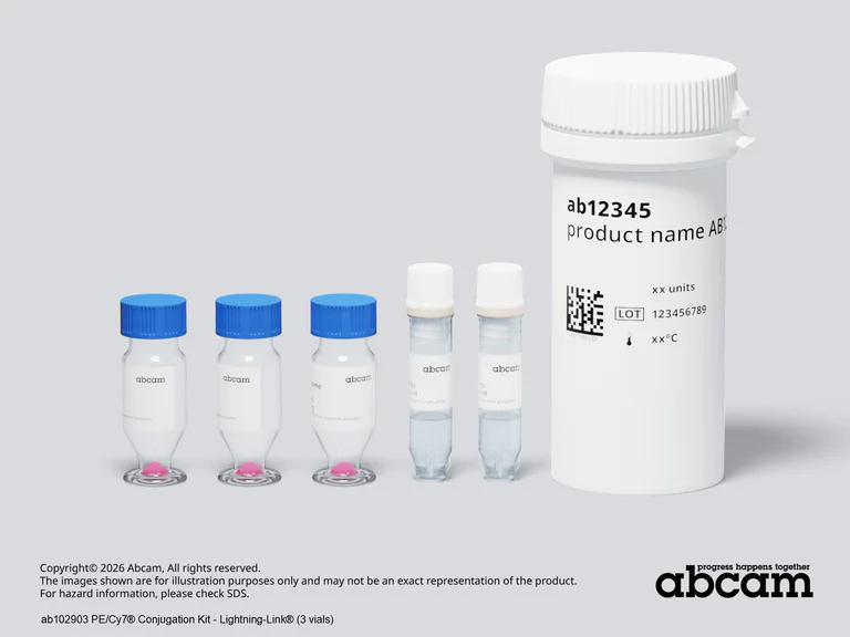 Other - PE/Cy7® Conjugation Kit - Lightning-Link® (AB102903)