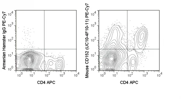 Flow Cytometry (Intracellular) - PE/Cy7® Anti-CTLA4 antibody [UC10-4F10-11] (AB210384)
