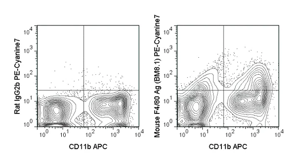Flow Cytometry - PE/Cy7® Anti-F4/80 antibody [BM8.1] (AB218761)