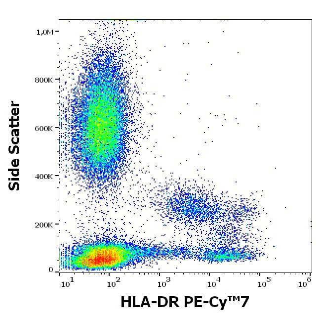 Flow Cytometry - PE/Cy7® Anti-HLA-DR antibody [L243] (AB239318)