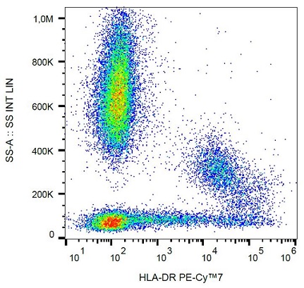 Flow Cytometry - PE/Cy7® Anti-HLA-DR antibody [L243] (AB239318), expandable thumbnail