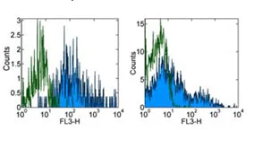 Flow Cytometry - PE/Cy7® Anti-HLA-DR antibody [LN3] (AB155347)