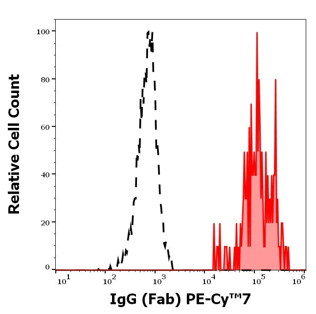 Flow Cytometry - PE/Cy7® Anti-IgG antibody [4A11] (AB205544)