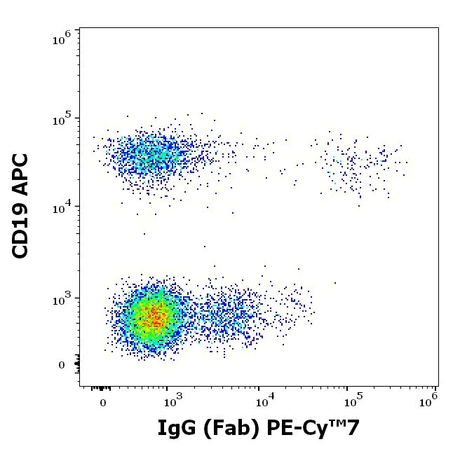 Flow Cytometry - PE/Cy7® Anti-IgG antibody [4A11] (AB205544)