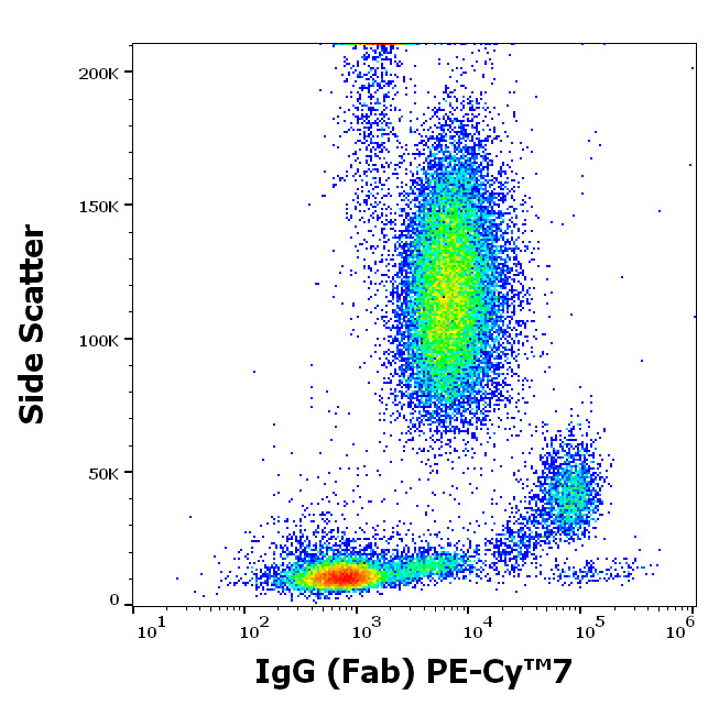 Flow Cytometry - PE/Cy7® Anti-IgG antibody [4A11] (AB205544)