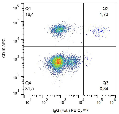 Flow Cytometry - PE/Cy7® Anti-IgG antibody [4A11] (AB205544), expandable thumbnail