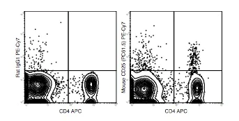 Flow Cytometry - PE/Cy7® Anti-IL-2 Receptor alpha antibody [PC61.5] (AB210335)