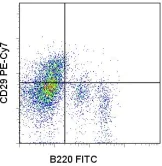 Flow Cytometry - PE/Cy7® Anti-Integrin beta 1 antibody [HMb1-1] (AB95622)