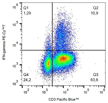 Flow Cytometry (Intracellular) - PE/Cy7® Anti-Interferon gamma antibody [4S.B3] (AB234208), expandable thumbnail