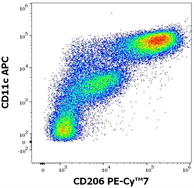 Flow Cytometry - PE/Cy7® Anti-Mannose Receptor antibody [15-2] (AB270682), expandable thumbnail