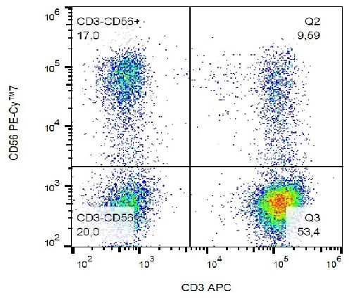 Flow Cytometry - PE/Cy7® Anti-NCAM1 antibody [LT56] (AB233575)