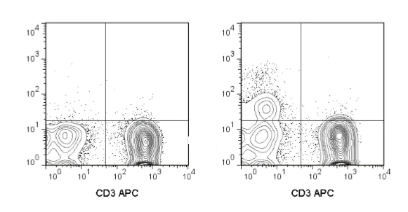 Flow Cytometry - PE/Cy7® Anti-NCAM1 antibody [MY31] (AB210305)