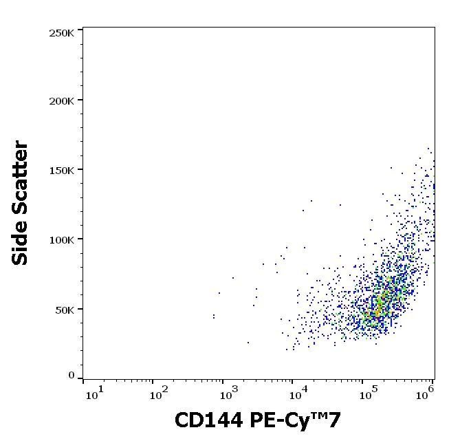 Flow Cytometry - PE/Cy7® Anti-VE Cadherin antibody [55-7H1] (AB272347)