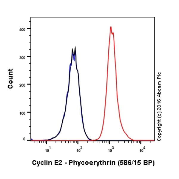Flow Cytometry (Intracellular) - PE Anti-Cyclin E2 antibody [E142] (AB211687)