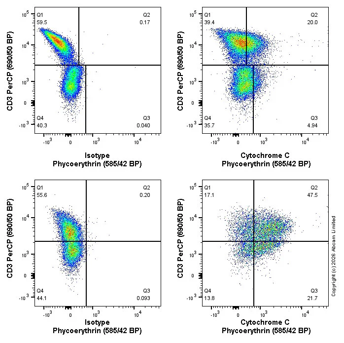 Flow Cytometry (Intracellular) - PE Anti-Cytochrome C antibody [7H8.2C12] (AB326170)