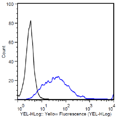 Flow Cytometry - PE Anti-DDDDK tag (Binds to FLAG® tag sequence) antibody [M2] (AB72469), expandable thumbnail