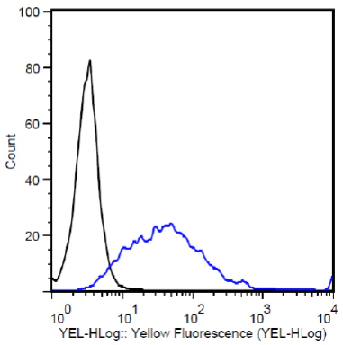 Flow Cytometry - PE Anti-DDDDK tag (Binds to FLAG® tag sequence) antibody [M2] (AB72469)