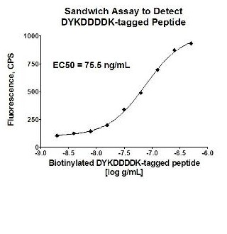 Sandwich ELISA - PE Anti-DDDDK tag (Binds to FLAG® tag sequence) antibody [M2] (AB72469), expandable thumbnail