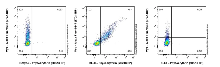 Flow Cytometry (Intracellular) - PE Anti-DLL3 antibody [EPR22592-18] (AB305808)