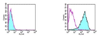 Flow Cytometry - PE Anti-DR5 antibody [MD5-1] (AB95619)