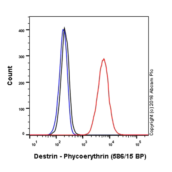 Flow Cytometry (Intracellular) - PE Anti-DSTN antibody [EPR15827(B)] (AB213356)