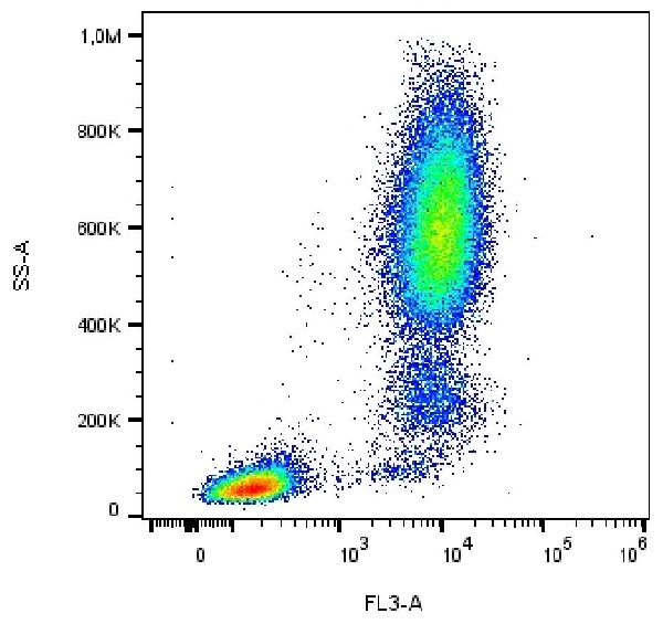 Flow Cytometry - PE/DyLight™ 594 Anti-CD13 antibody [WM15] (AB239330), expandable thumbnail