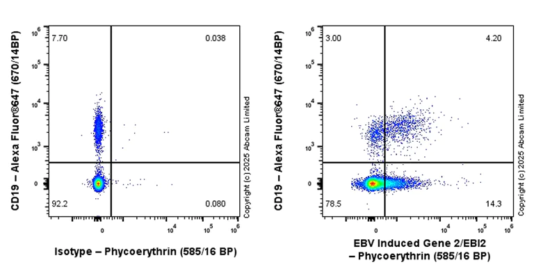 Flow Cytometry - PE Anti-EBV Induced Gene 2/EBI2 antibody [EPR27340-66] (AB325228)
