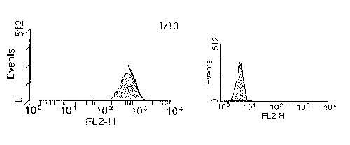 Flow Cytometry - PE Anti-EGFR antibody [ICR10] (AB27764)