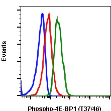 Flow Cytometry - PE Anti-eIF4EBP1 (phospho T37 + T46) antibody [4EB1T37T46-A5] (AB278687)