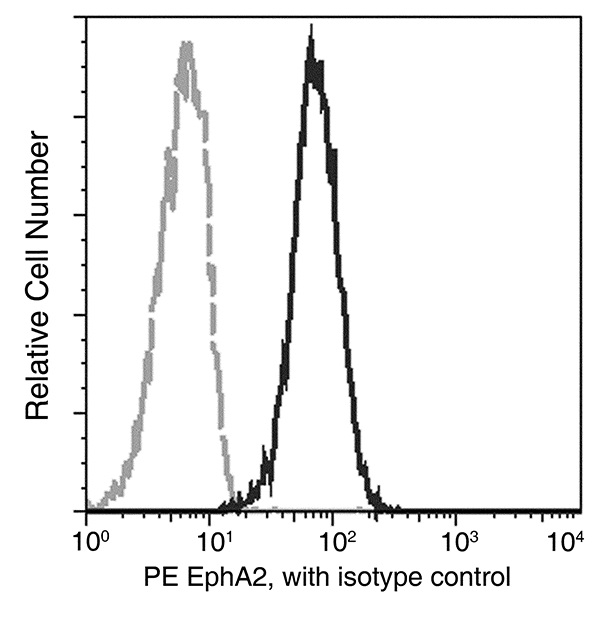 Flow Cytometry - PE Anti-Eph receptor A2 antibody [101] (AB275595), expandable thumbnail