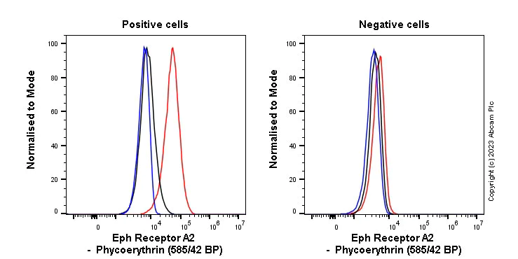 Flow Cytometry - PE Anti-Eph receptor A2 antibody [EPR17660-120] (AB313756)