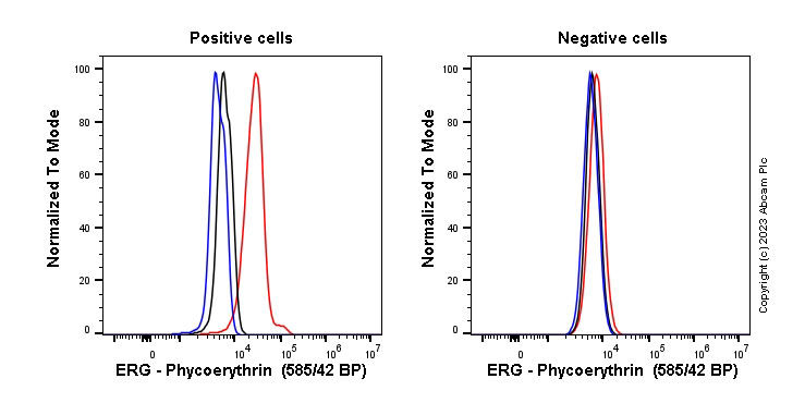 Flow Cytometry (Intracellular) - PE Anti-ERG antibody [EPR3864] (AB314261), expandable thumbnail