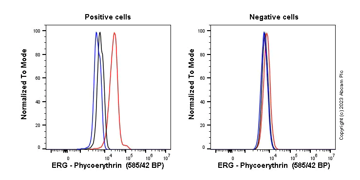 Flow Cytometry (Intracellular) - PE Anti-ERG antibody [EPR3864] (AB314261)