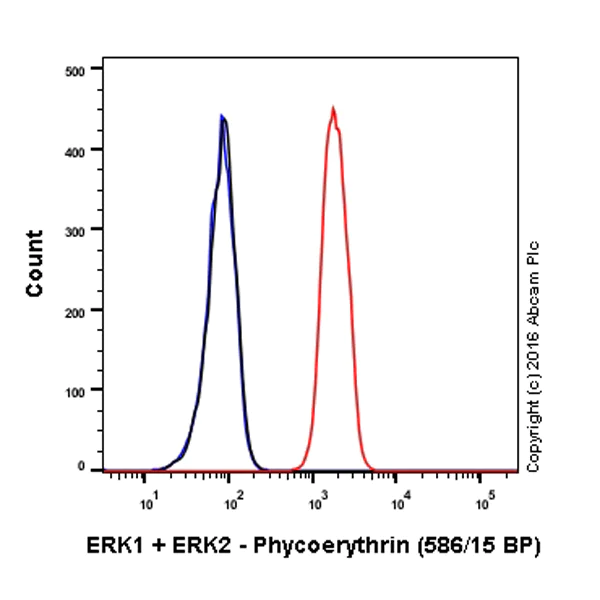 Flow Cytometry (Intracellular) - PE Anti-ERK1 + ERK2 antibody [EPR17526] (AB212153)