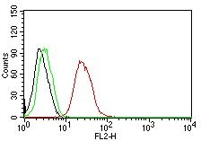 Flow Cytometry - PE Anti-Estrogen Receptor beta antibody [ERb455] (AB205541)